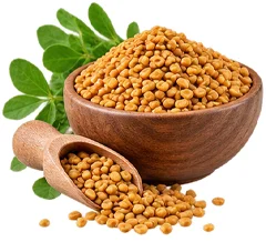 Erectomax — Fenugreek Seed Extract