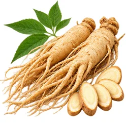 Erectomax — Korean Ginseng