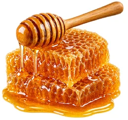 Erectomax — Royal Honey